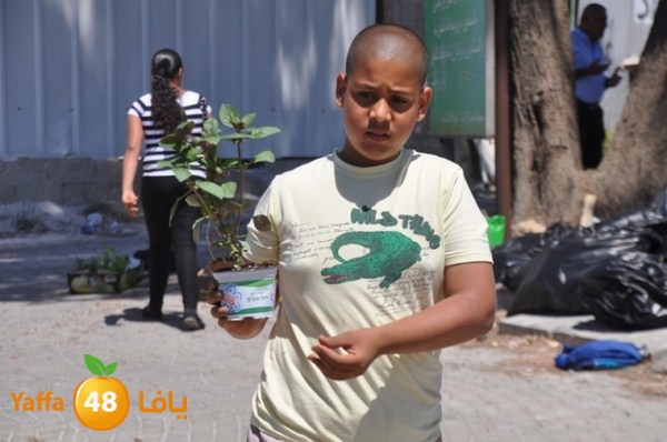 tasoo qemam (57).JPG